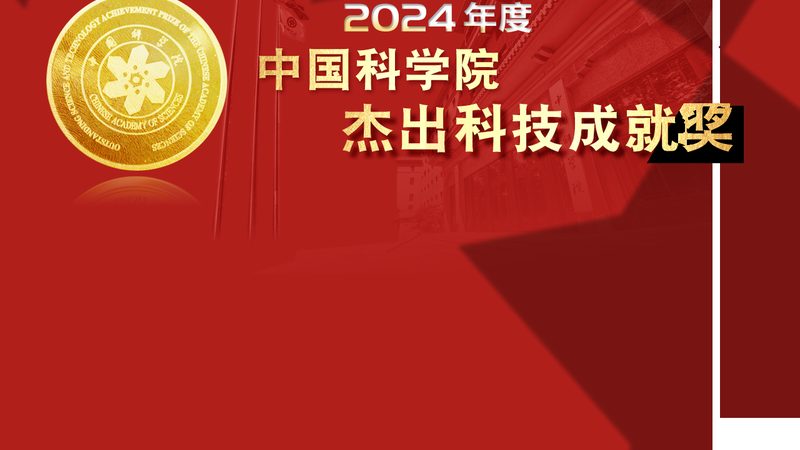 企业搜索定制开发：构建高效信息检索的秘籍