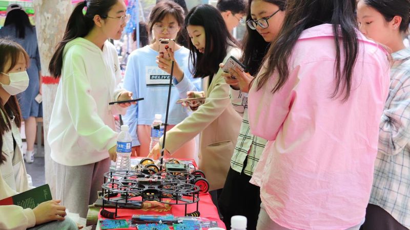 智能客服系统故障排查：常见问题与解决策略